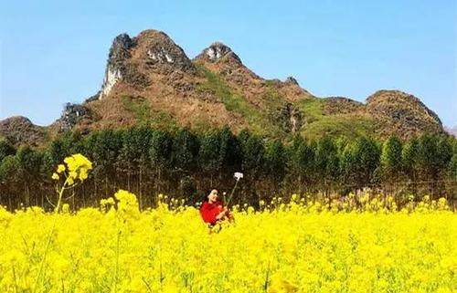 Đường phân định thềm lục địa Việt Nam - Indonesia 